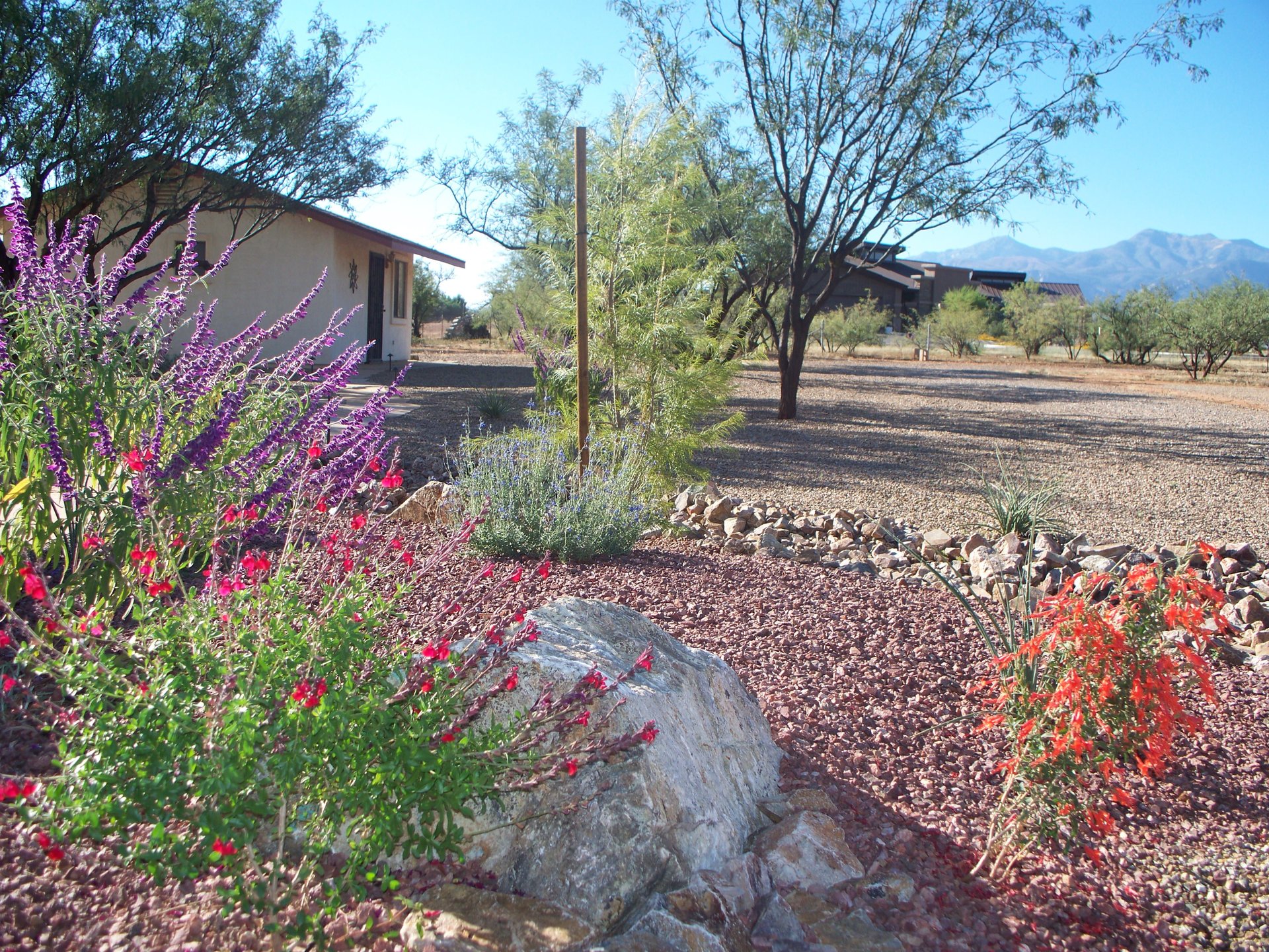 Photo Gallery Grasshopper Landscaping Maintenance LLC